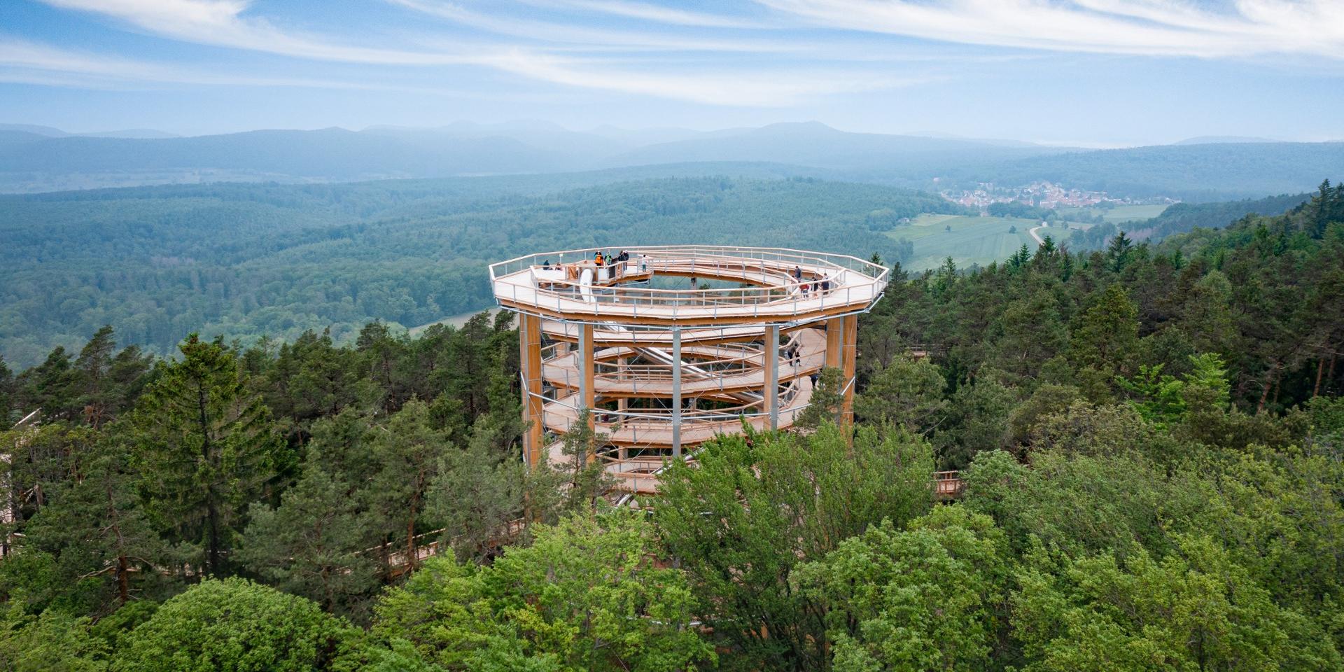 The Treetop Walk