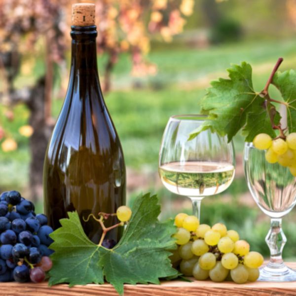 Formule vigneronne - Découverte Œnologique